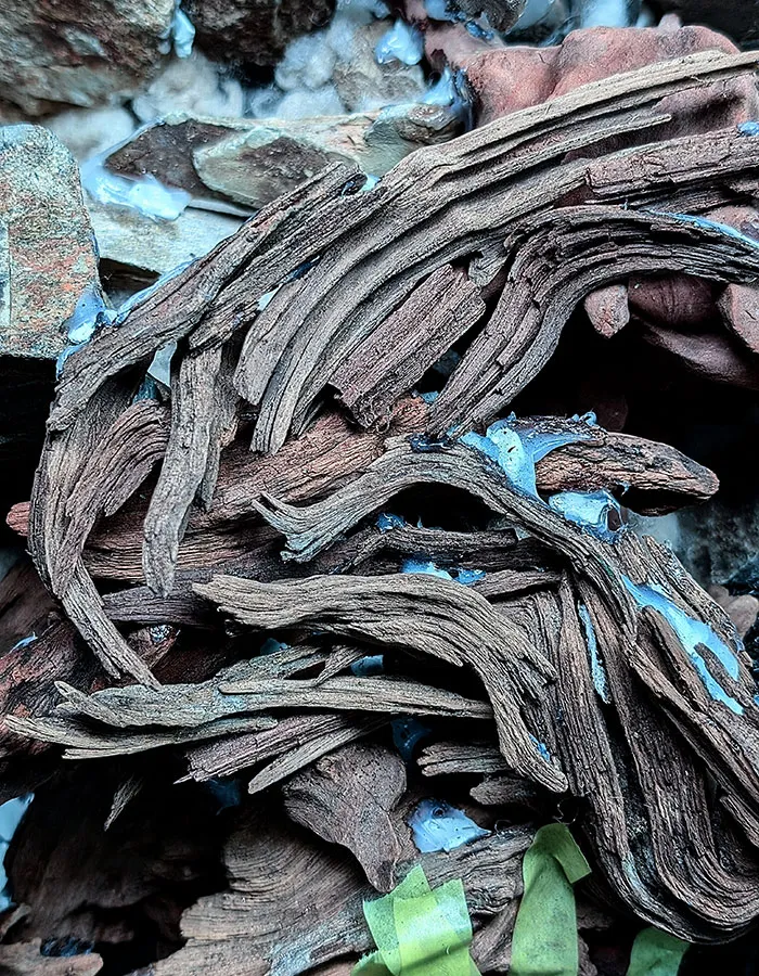 Aquascaping steps - PRIMAL BUST - IAPLC 2025 Silver Prize - Katsuki Tanaka / Japan